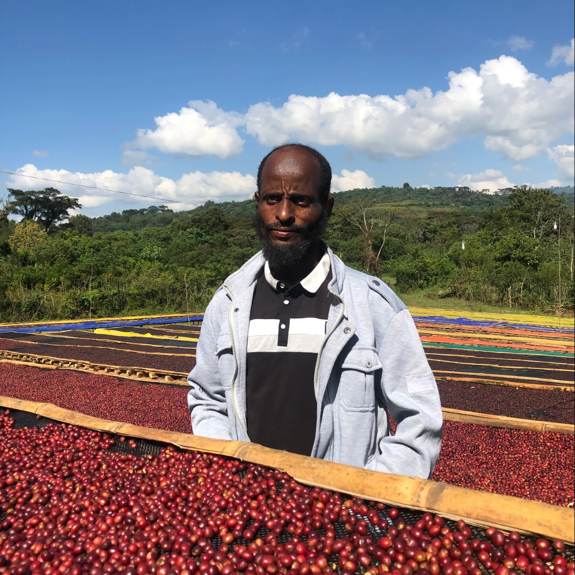 Hawk: Meet Mohammed Aba Nura, the Producer Behind Our Ethiopian Coffee